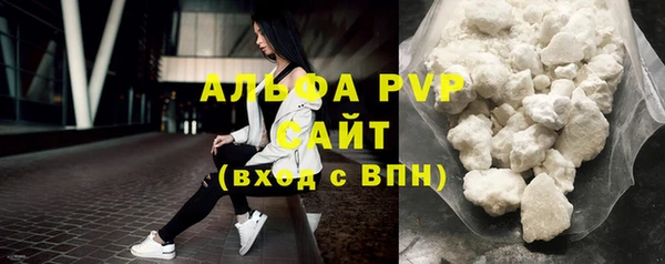 трава Ельня