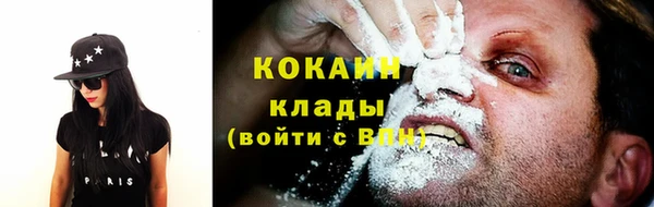 трава Ельня