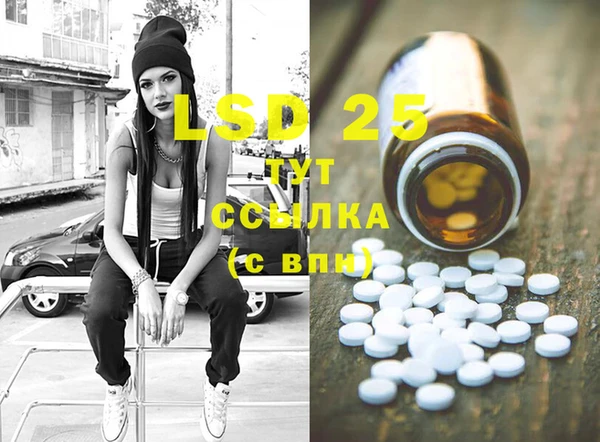 трава Ельня
