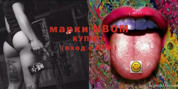 трава Ельня