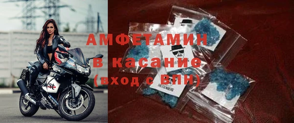 трава Ельня
