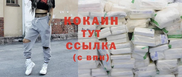 трава Ельня